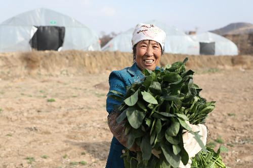 洪河村群眾的心里話：脫貧致富，計(jì)劃得先行