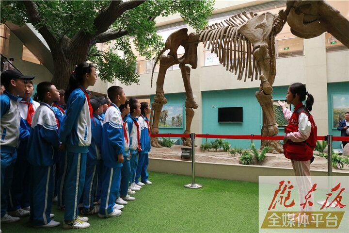 【第一眼】慶陽(yáng)市博物館開(kāi)展多項(xiàng)活動(dòng)慶?！?·18國(guó)際博物館日”