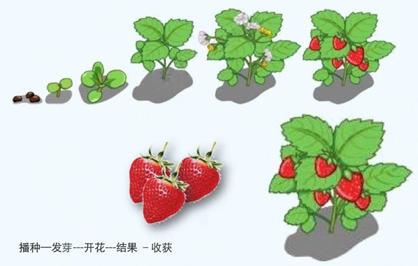 【防疫科普】如何利用園藝療法保持復(fù)工后身心健康？