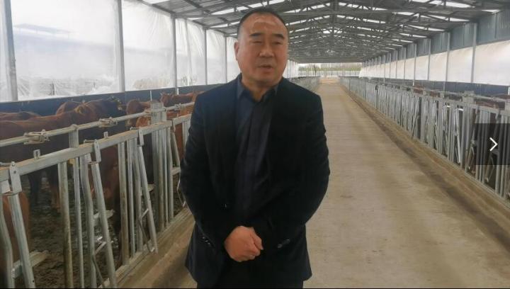 【脫貧攻堅我來見證】項祖地：讓“早勝牛”品牌走出甘肅  走向全國
