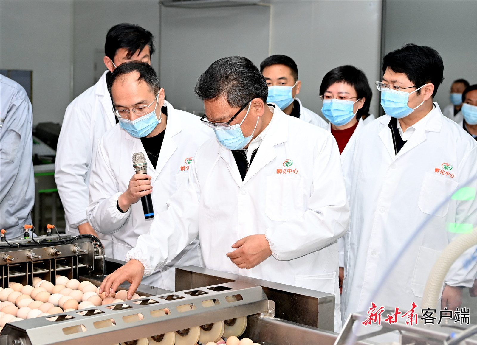 任振鶴在慶陽調(diào)研時強調(diào)：用新思想指引新征程，以新發(fā)展書寫新答卷，真抓實干推動新時代革命老區(qū)振興發(fā)展