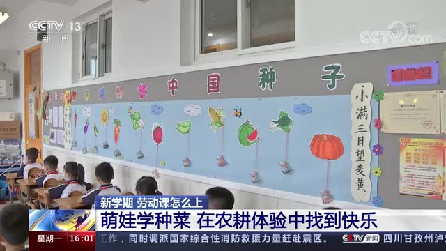 新學(xué)期，勞動(dòng)課怎么上？央視《新聞直播間》關(guān)注北師大慶陽附校農(nóng)耕體驗(yàn)課