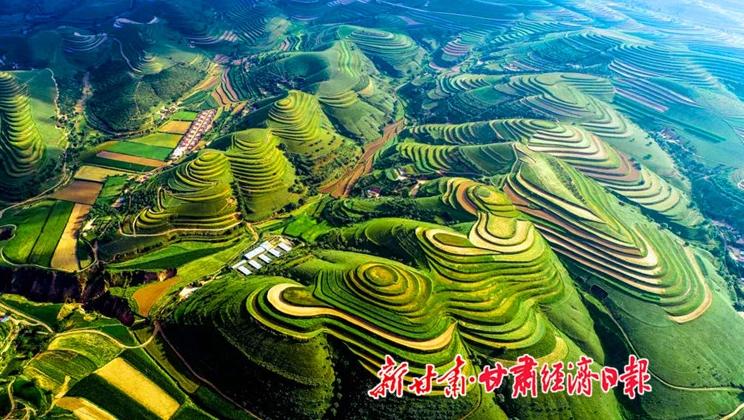 “羊”名立萬正當(dāng)時——環(huán)縣念羊經(jīng)、興羊業(yè)、發(fā)羊財促進鄉(xiāng)村振興發(fā)展