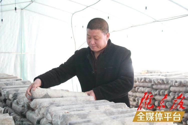 西峰區(qū)后官寨鎮(zhèn)司官寨村食用菌基地，工作人員在整理菌棒。本報(bào)記者 南力 攝