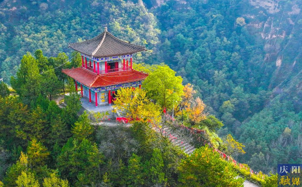 【攝影報道】天涼好個秋！一年一度醉人秋景如約而至