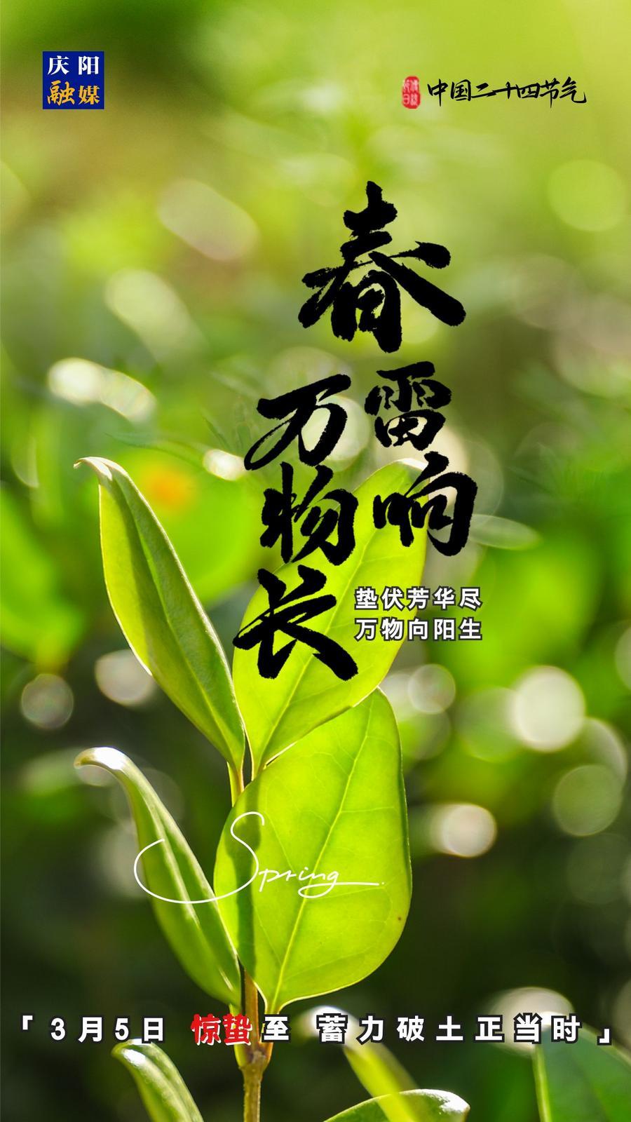 【微海報(bào)】二十四節(jié)氣丨驚蟄至，蓄力破土正當(dāng)時(shí)