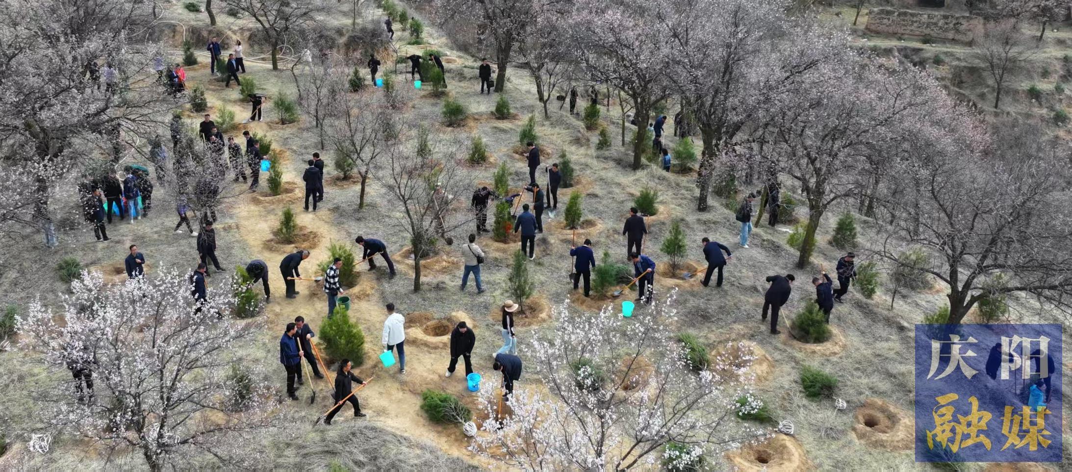 慶陽(yáng)市市級(jí)機(jī)關(guān)義務(wù)植樹活動(dòng)在西峰區(qū)舉行