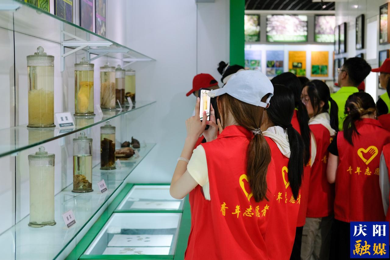 萬物共生 和美永續(xù)丨慶陽市舉辦國際生物多樣性日主題活動