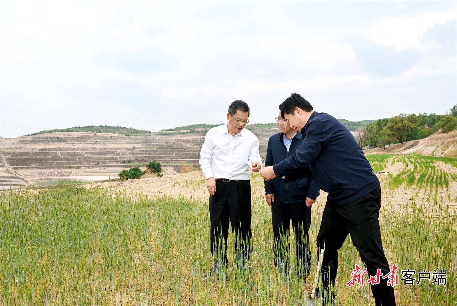 任振鶴在會寧縣靜寧縣調研抗旱減災和群眾身邊不正之風和腐敗問題集中整治工作時強調 打好抗旱減災主動仗 用心辦好實事惠民生 不斷加固高質量發(fā)展的底板