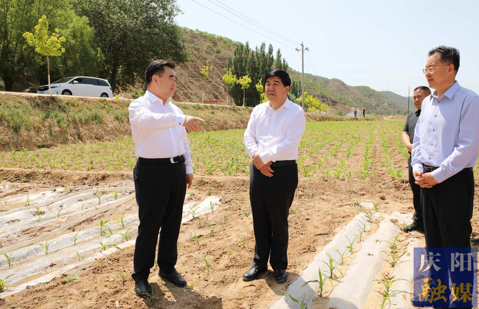 黃澤元在環(huán)縣調(diào)研時強調(diào) 有效解決突出問題推動學(xué)習(xí)教育走深走實 用足用好各類水源最大限度減少旱情影響