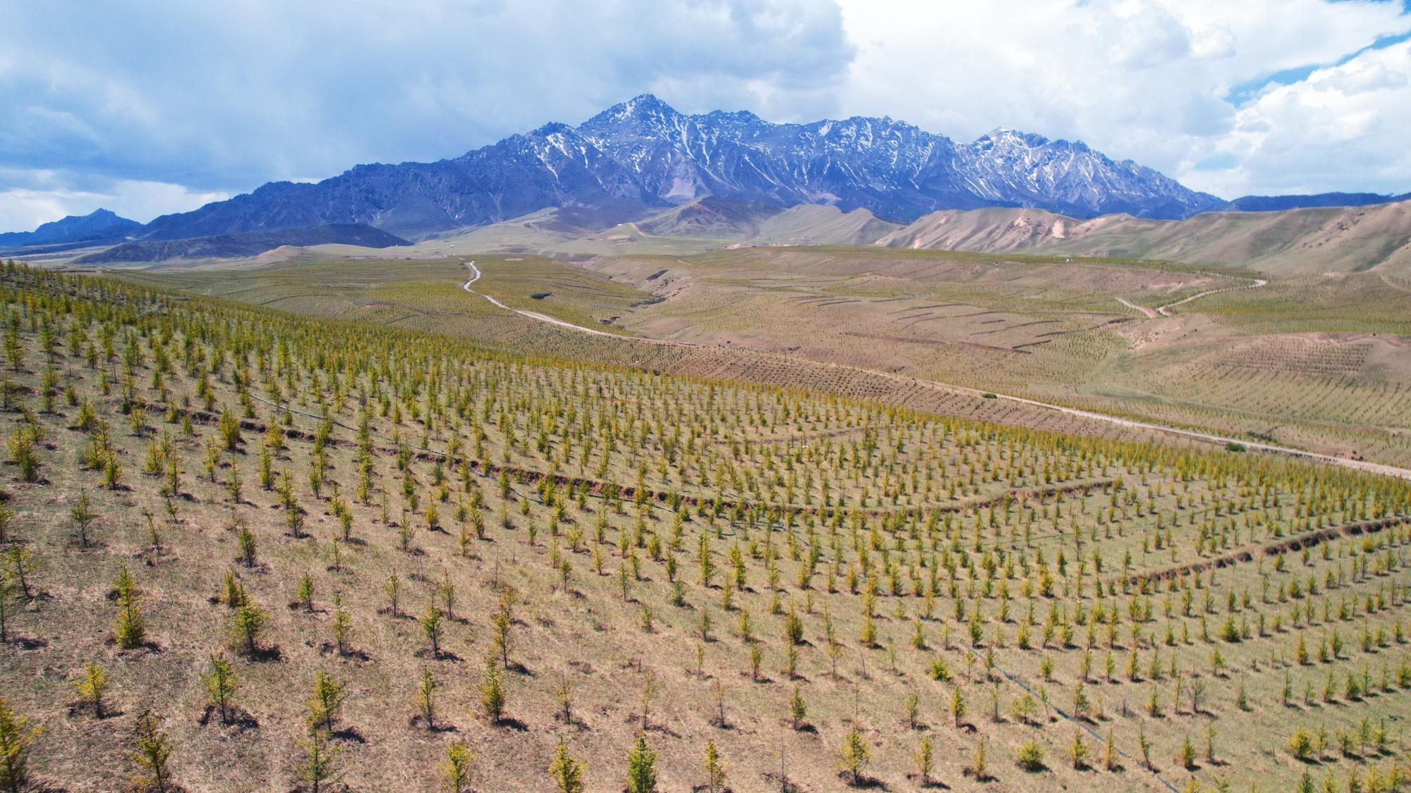 甘肅張掖民樂：厚植生態(tài)底色 繪就綠色發(fā)展新圖景